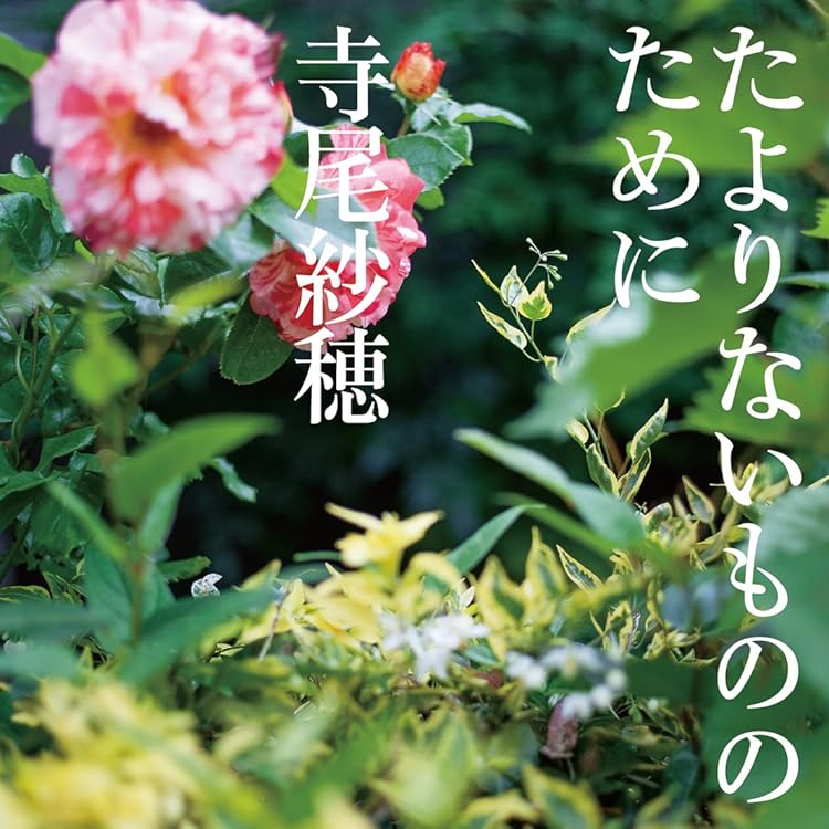 寺尾紗穂／北へ向かう 12inchレコード 【完全限定生産盤】 Amazon.co.jp: 北へ向かう[Analog][7inch][初回生産限定盤